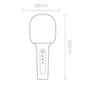 Караоке-микрофон Xiaomi Yhemi Karaoke Microphone Lite (YMMKF007) Blue  отзывы