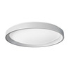 Стельовий смарт-світильник Xiaomi Aqara Ceiling Light T1 32W (HCXDD11LM)  опис