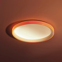 Потолочный смарт-светильник Xiaomi Aqara Ceiling Light T1 32W (HCXDD11LM)  отзывы