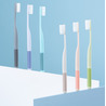 Зубна щітка Xiaomi DailyElements Toothbrush (BHR6497CN) Pink  характеристики