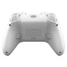 Геймпад Xiaomi FLYDIGI Direwolf 3  купити