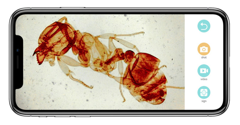 Умный портативный микроскоп Xiaomi BeaverLAB Darwin M1С Digital Microscope (DDL-M1С)