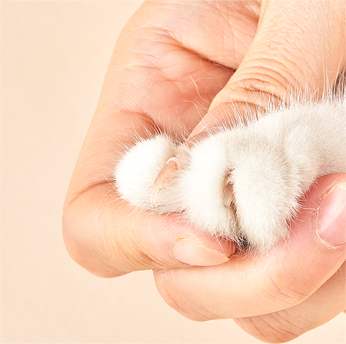 Когтерез для кошек и собак с подсветкой Xiaomi PETKIT LED Pet Clipper (PK2403)