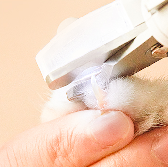Когтерез для кошек и собак с подсветкой Xiaomi PETKIT LED Pet Clipper (PK2403)