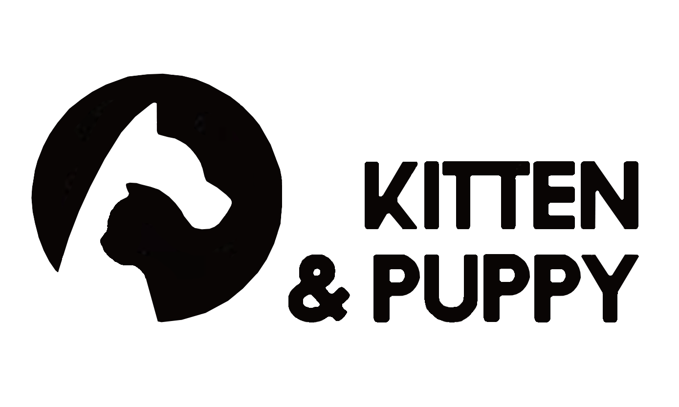 Kitten Puppy_1